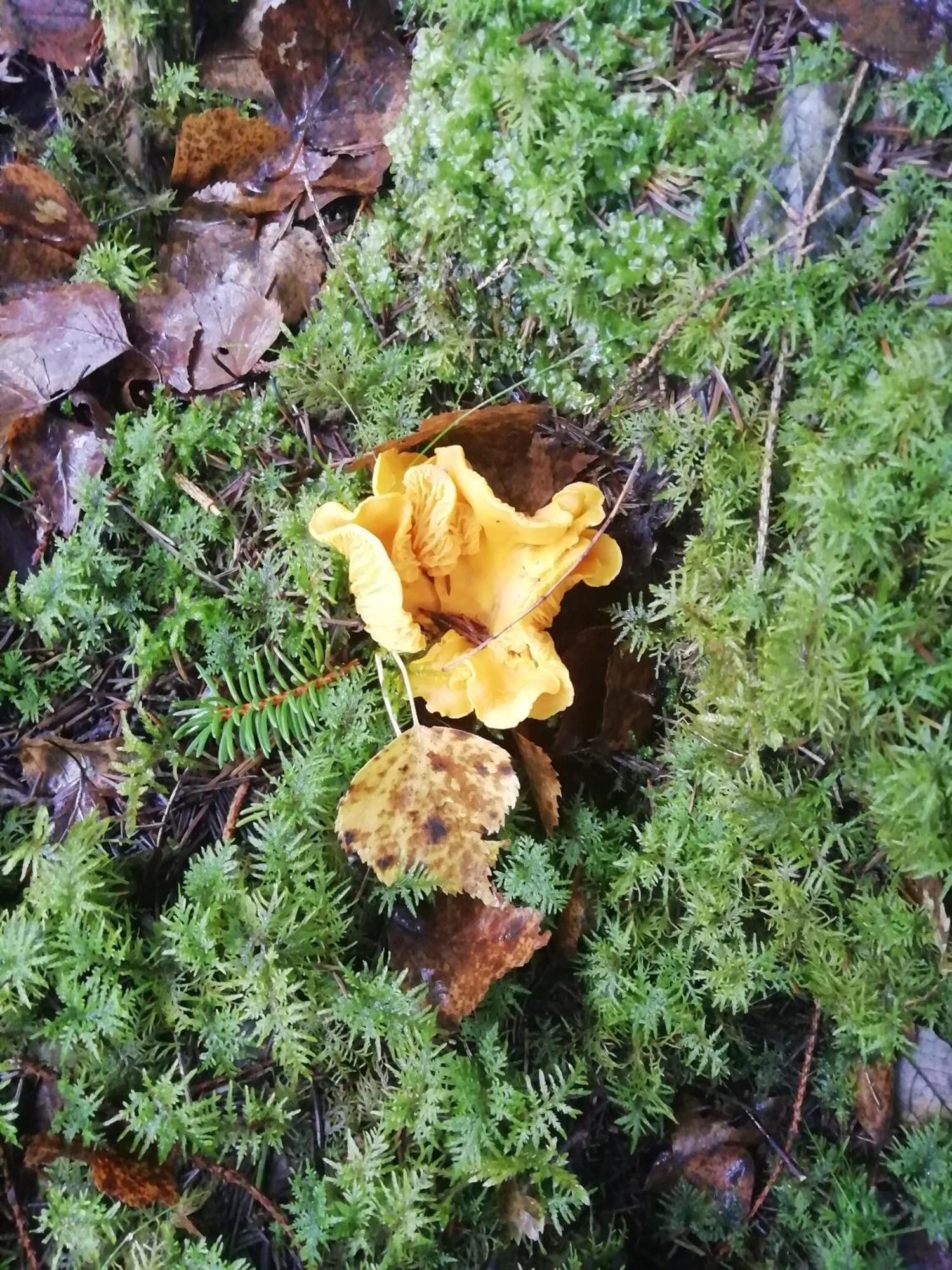 Moshults Vandrarhem Skruv ภายนอก รูปภาพ